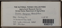 Image Associated With the Occurence